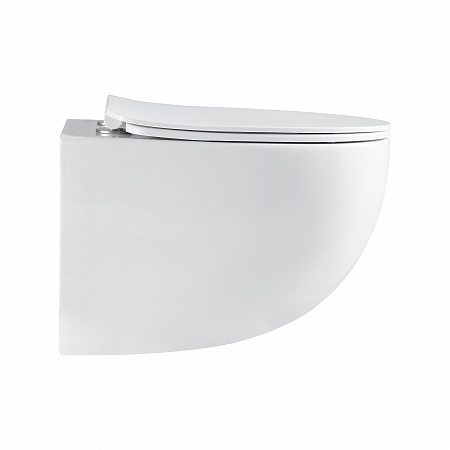 Подвесной унитаз безободковый Terminus Енисей Монолит 560х390 белый Усолье-Сибирское - фото 4 Подвесной унитаз безободковый Terminus Енисей Монолит 560х390 белый Усолье-Сибирское - фото 4