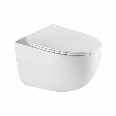 Подвесной унитаз безободковый Terminus Енисей Монолит 560х390 белый Усолье-Сибирское - фото 2 Подвесной унитаз безободковый Terminus Енисей Монолит 560х390 белый Усолье-Сибирское - фото 2