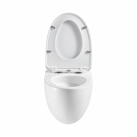 Подвесной унитаз безободковый Terminus Енисей Монолит 560х390 белый Усолье-Сибирское - фото 5 Подвесной унитаз безободковый Terminus Енисей Монолит 560х390 белый Усолье-Сибирское - фото 5